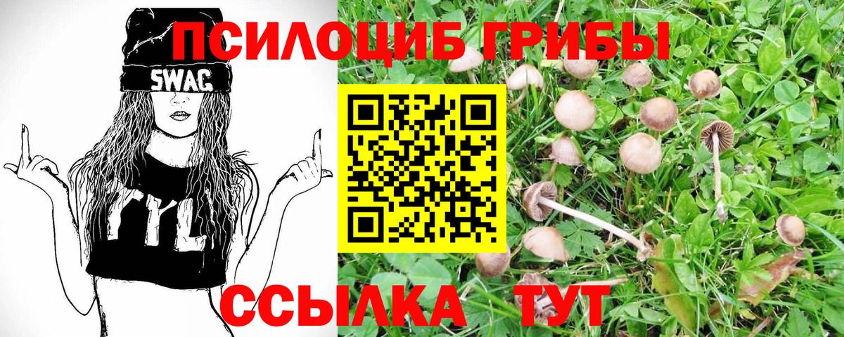 Галлюциногенные грибы прущие грибы Бузулук